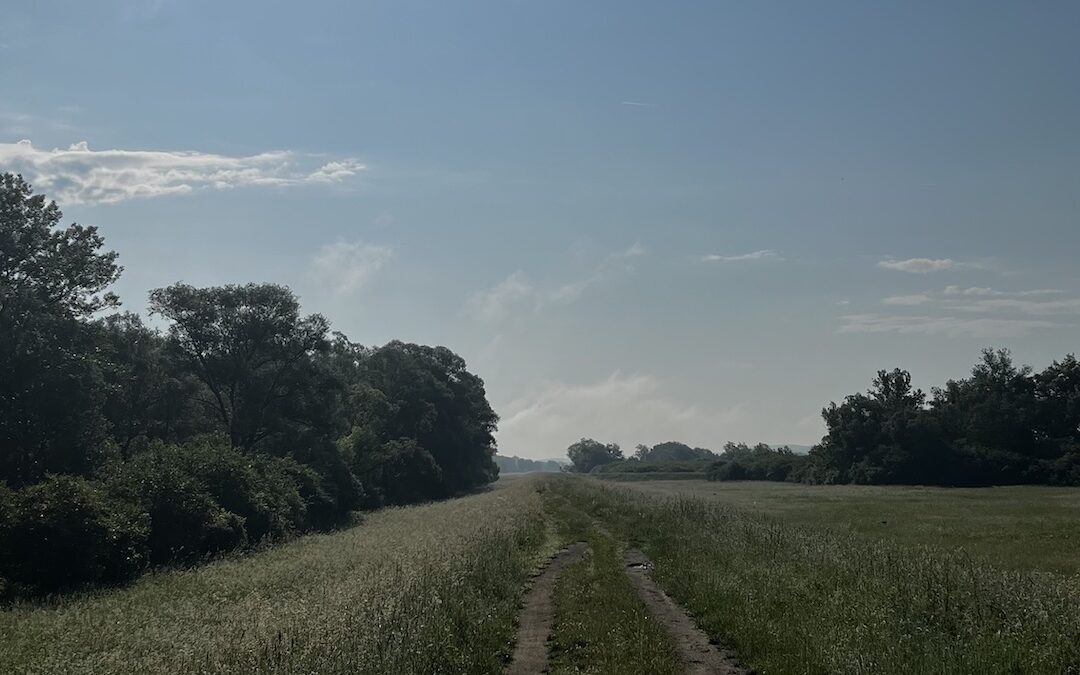 Nehézségekkel teli, de kitartással teljesített 8 km-es Edzés – Május 26, 2023!